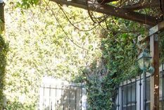 El patio interno, un refugio verde para el relax. Foto: Pinterest.