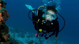 En Los Cabos está Cabo Pulmo, el lugar donde se encuentra el acuario del mundo. En Los Cabos está Cabo Pulmo, el lugar donde se encuentra el acuario del mundo.