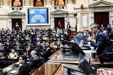 ley bases en diputados: triunfo del sentido comun y el dialogo