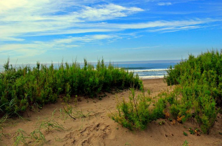 El verano es temporada ideal para disfrutar de su playa extensa. Foto: Facebook Arenas Verdes