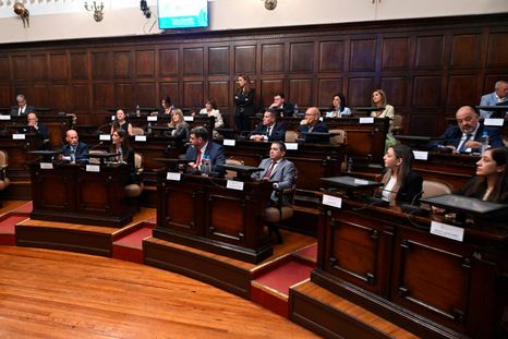 La Cámara de Senadores. La Cámara de Senadores.