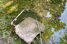 Tapa de un pozo séptico. Imagen ilustrativa. Foto: ALF PONCE MERCADO / MDZ