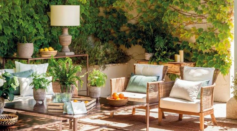 Hedera helix (hiedra). Foto: elmueble.com