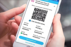 La exención de peajes con CUD aplica en la red vial nacional y en autopistas de Buenos Aires, Córdoba y Santa Fe. Foto: Archivo La exención de peajes con CUD aplica en la red vial nacional y en autopistas de Buenos Aires, Córdoba y Santa Fe. Foto: Archivo