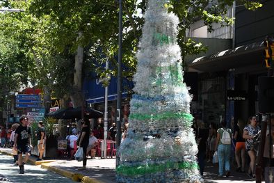 MDZol | Foto: ALF PONCE MERCADO / MDZ