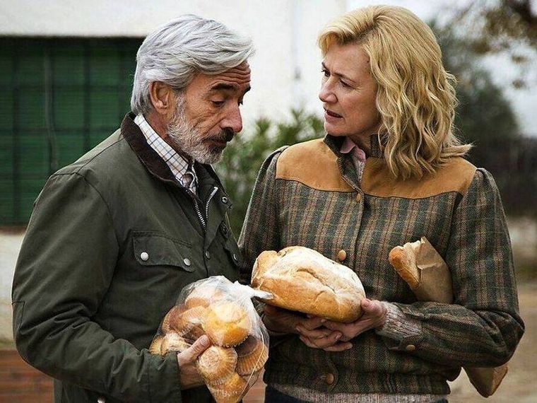 Cuéntame cómo pasó logró tener una gran aceptación en todo el público español.