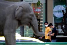 Tailandia es uno de los países más complicados por la variante Delta Foto: EFE