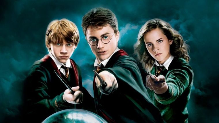 Harry Potter, y la piedra filosofal, Ron, Hermaione