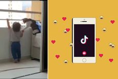 TikTok, video viral, gato TikTok, video viral, gato