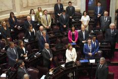 uno por uno, como votaron los senadores en el debate por la baja de la edad de imputabilidad