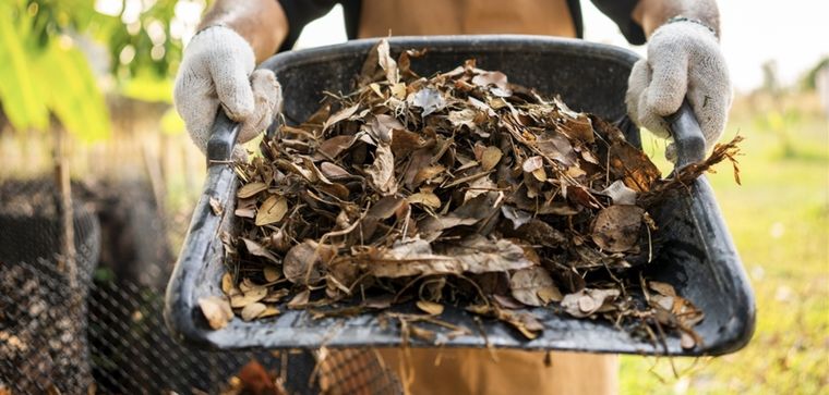 Existen dos formas de aplicar las hojas secas a tu jardín Foto: Shutterstock