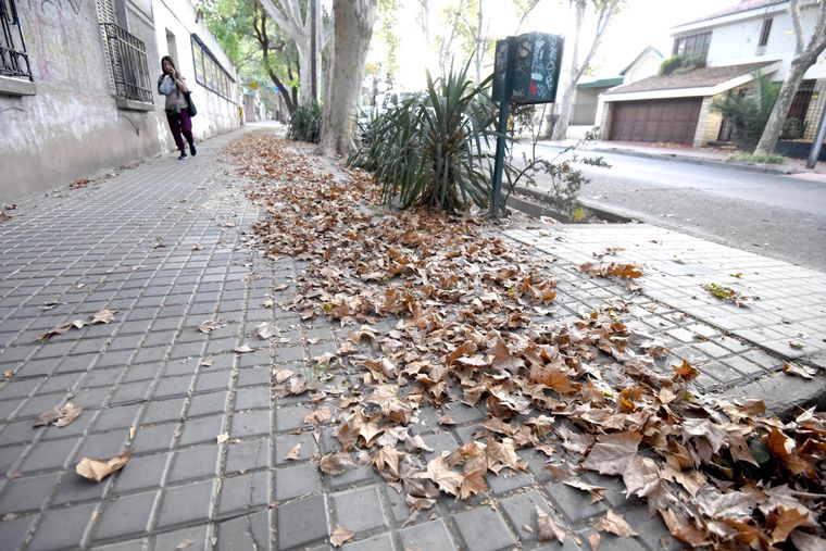 El gobierno de Mendoza anunció la suspensión de clases en todos los niveles educativos Foto: Archivo MDZ