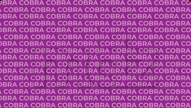 Este acertijo visual ayuda a mantener la visión y la atención lo más ejercitado posible. Este acertijo visual ayuda a mantener la visión y la atención lo más ejercitado posible.