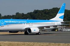 la policia bajo de un avion una familia argentina en miami