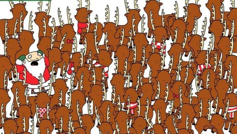 ACERTIJO VISUAL ACERTIJO VISUAL, RETO VISUAL, OSO Foto: ARCHIVO