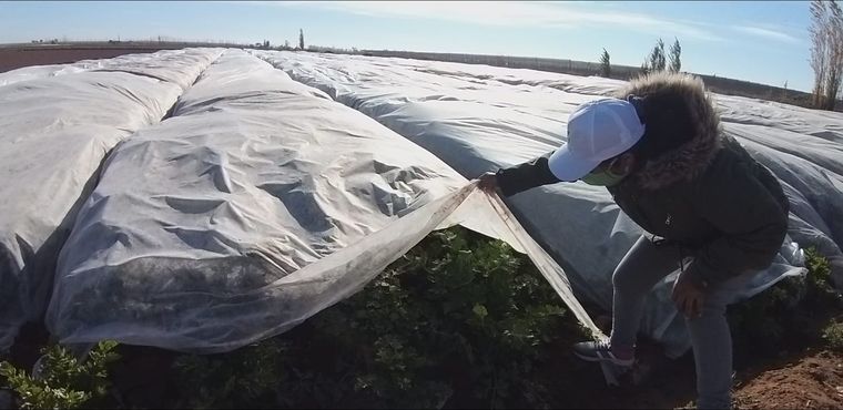 Cristina Vega es una de las pequeñas productoras rurales que ofrece sus productos en la plataforma de Agrojusto.