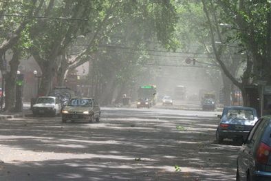 MDZol | Según el SMN no habrá Zonda en el llano.