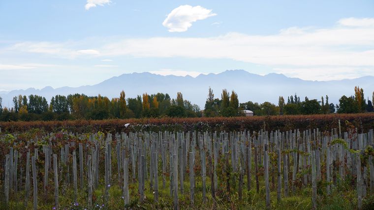 El lunes tendrá cielo parcialmente nublado y temperaturas más frescas en Mendoza.