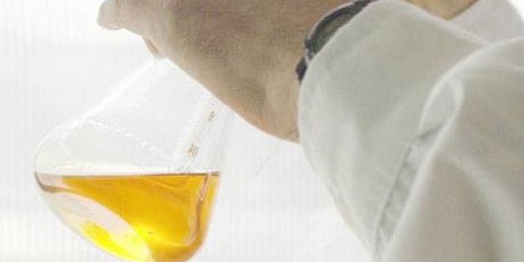 El curso cuenta con la organización de la Secretaría de Deportes. Foto: MDZ