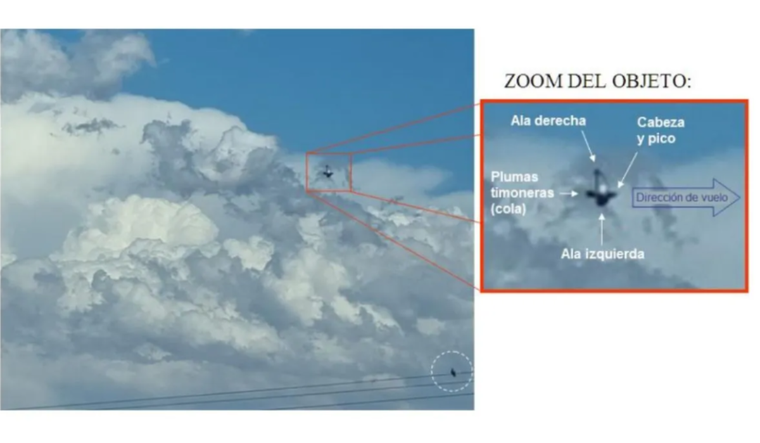 Caso de ovni en Mendoza. Fuente: CIAE. Caso de ovni en Mendoza. Fuente: CIAE.