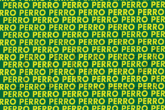 ACERTIJO VISUAL ACERTIJO VISUAL, RETO VISUAL. PALABRA Foto: MDZ ONLINE