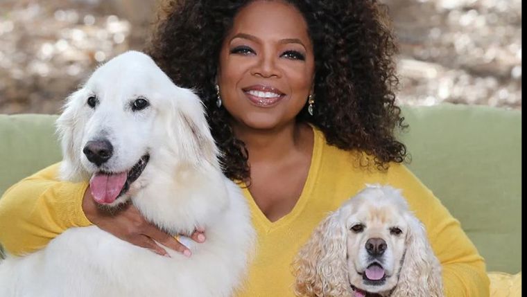 Oprah Winfrey forjó una carrera inigualable y se convirtió en una de las personalidades más influyente de las últimas décadas. Foto: Instagram @oprah