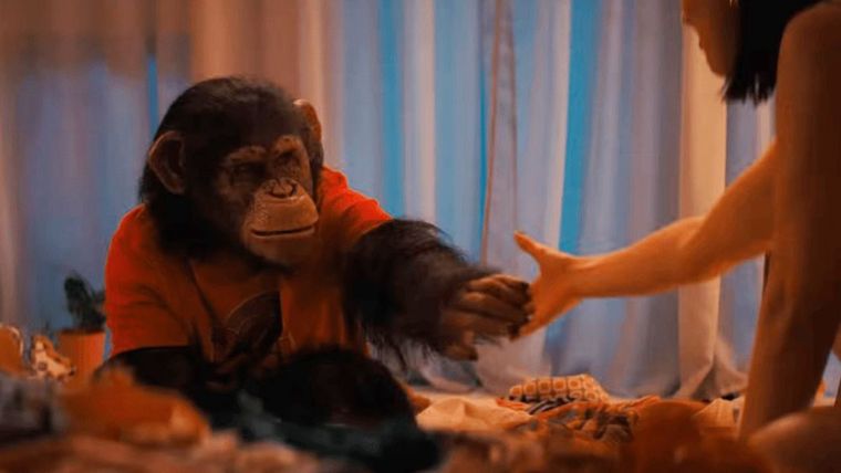 Un mono es protagonista de una nueva película de terror. Foto: cortesía Paramount.