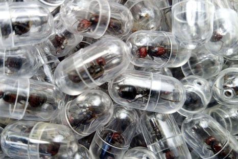 Algunas hormigas encapsuladas fueron recuperadas. Algunas hormigas encapsuladas fueron recuperadas.