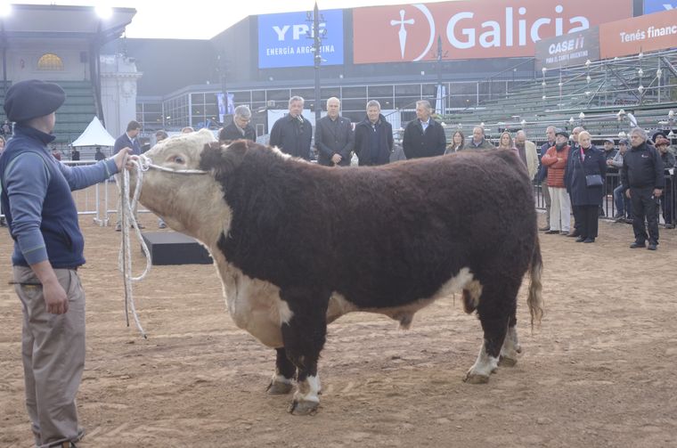 El jueves, la Expo abrirá sus puertas al público. El jueves, la Expo abrirá sus puertas al público.