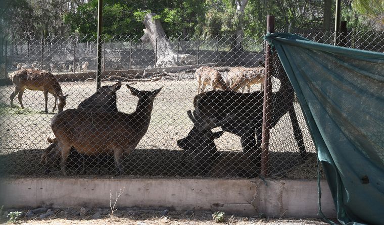 Tras la conclusión de las obras de infraestructura en el Ecoparque, se realizan tareas complementarias. Fechas tentativas. Tras la conclusión de las obras de infraestructura en el Ecoparque, se realizan tareas complementarias. Fechas tentativas.