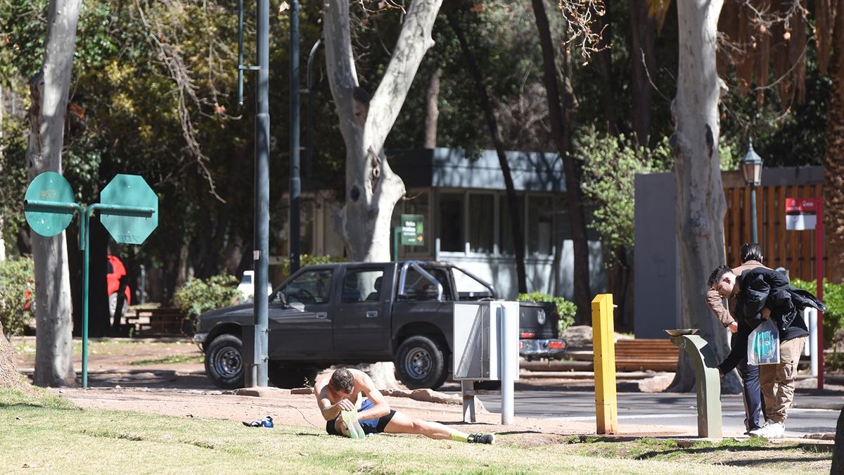 Pronóstico en Mendoza: vuelve el calor y hay alerta por viento Zonda