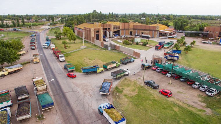 La Justicia mendocina confirmó una condena solidaria a Jugos Australes, EcoGreen y Bocardo por incumplir un contrato con la europea Iberte.