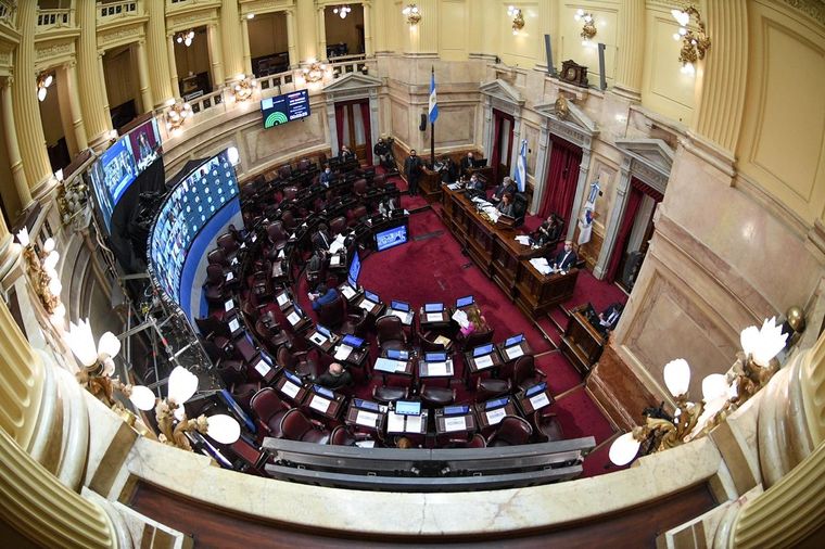 Foto: Prensa Senado Nacional.