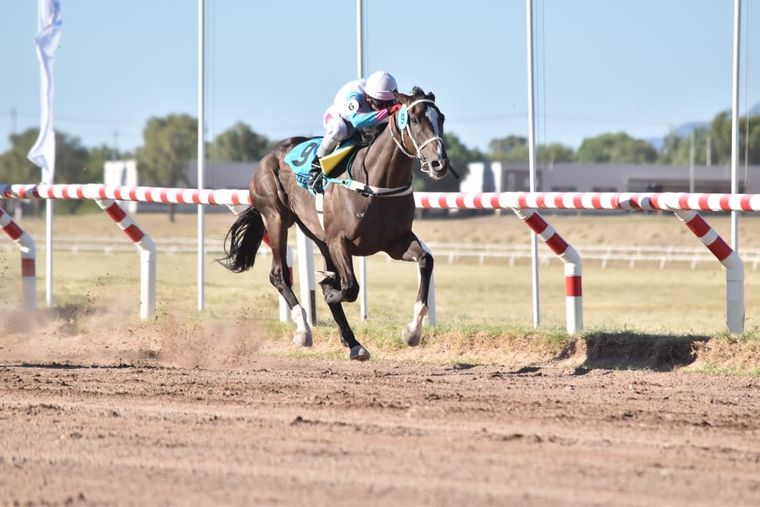 El sanjuanino Atlas Again irá en yunta con Elmaestrodelarte y promete ser otra de las figuras del Vendimia.