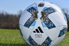 Un importante equipo se quedó sin DT. Foto: AFA