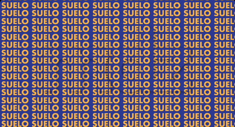 El acertijo visual pone a prueba el nivel de atención y observación de los lectores Foto: Archivo MDZ