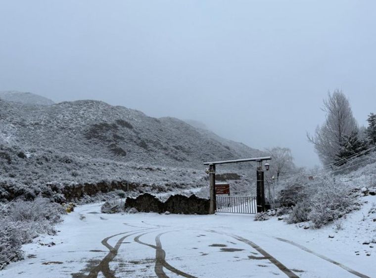 nevadas.v1