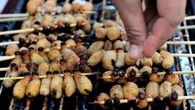 Al menos en tres continentes se comen insectos. Foto: GETTY IMAGES