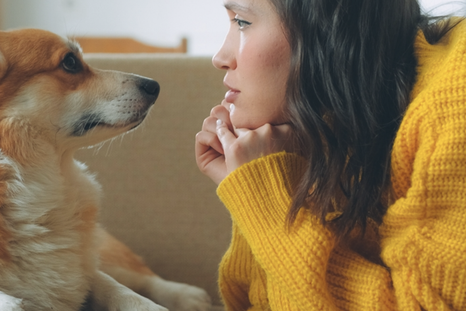 La comunicación afectuosa con mascotas es una conducta muy frecuente entre humanos. Foto: Shutterstock La comunicación afectuosa con mascotas es una conducta muy frecuente entre humanos. Foto: Shutterstock