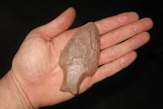 el arma creada por el hombre que provoco la extincion de la megafauna en sudamerica