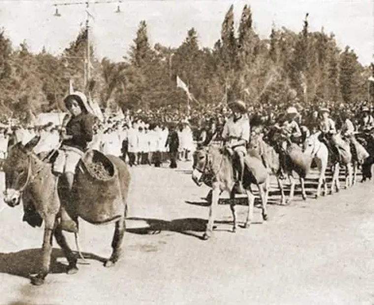 La evolución del espectáculo central mostró cómo la Vendimia pasó de celebraciones concisas a experiencias escénicas prolongadas. La evolución del espectáculo central mostró cómo la Vendimia pasó de celebraciones concisas a experiencias escénicas prolongadas.