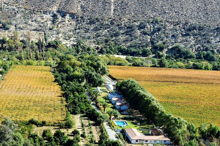 Caren, Monte Patria. Región de Coquimbo Foto: Turismo Valle del Sol