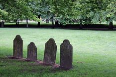 sueño Un sueño para analizar. Foto: Fuente: Shutterstock sueño Un sueño para analizar. Foto: Fuente: Shutterstock