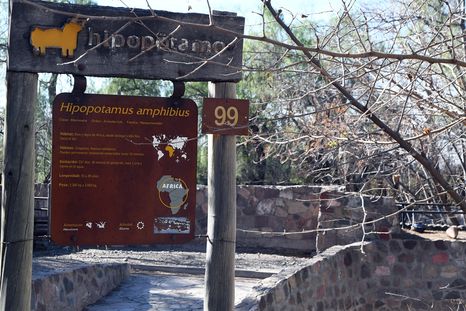 El Ecoparque se encuentra cerrado desde hace 8 años Foto: ALF PONCE MERCADO / MDZ El Ecoparque se encuentra cerrado desde hace 8 años Foto: ALF PONCE MERCADO / MDZ