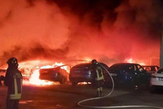 Si bien se desconoce la causa, se cree que pudo haber sido un grupo ecologista Foto: X