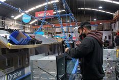 la actividad que mostro un leve crecimiento a pesar de la crisis economica