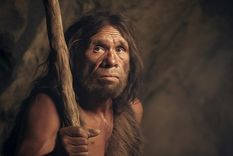 El homo sapiens, un milagro evolutivo. Foto: FreePic. IA
