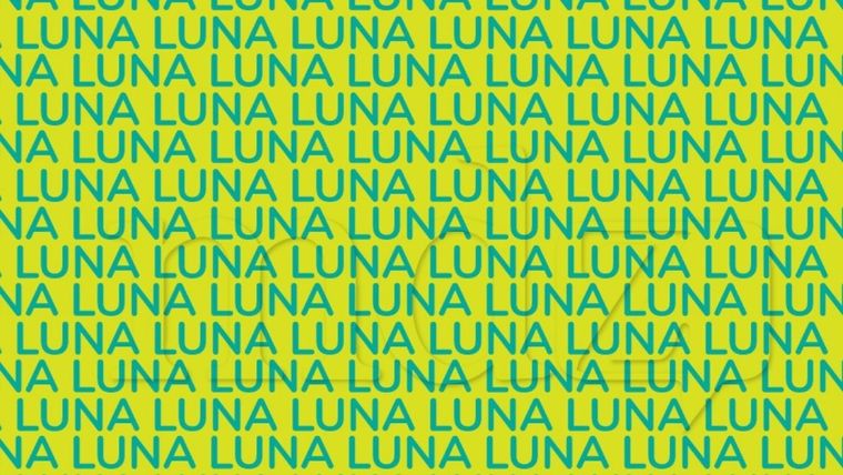 Los acertijos visuales seguirán desafiando a usuarios de todas las edades en las redes sociales Foto: Archivo MDZ