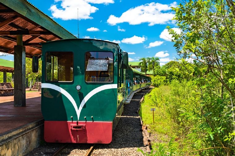 El tren ecológico de la selva, en Misiones Foto: Shutterstock