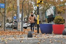 El viento de este martes dejó mucho polvo y también hojas en las calles de Mendoza Foto: Santiago Tagua / MDZ